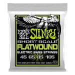 Ernie Ball 2818 Regular Slinky Flatwound Cobalt Short Scale Bassnaren (45-105)