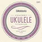 D'Addario EJ87C Titanium Concert Ukulele Snaren (25-40)