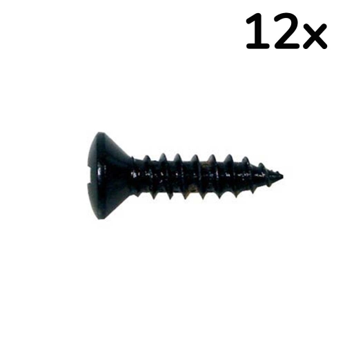 Boston TS-01-B Slagplaat Schroeven 3x12mm Zwart (12 Stuks)