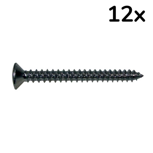 Boston TS-03-B Gitaarhals Montage Schroeven 4x45mm Zwart (12 Stuks)