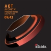 BlackSmith APB-0942 Nano-Carbon Coated Phosphor Bronze Akoestische Gitaarsnaren (9-42)