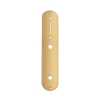 Boston CP-TE-AG Control Plate Telecaster 9.5mm Gaten Goud