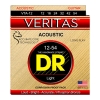 DR Strings VTA12 Veritas Akoestische Gitaarsnaren (12-54)