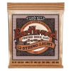 Ernie Ball 2153 Earthwood Phosphor Bronze 12-Snarige Akoestische/Western Snaren (9-46)