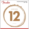 Fender 60L Phosphor Bronze Snaren voor Akoestische Gitaar (12-53)