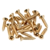 Fender Vergulde Slagplaat Montage Schroeven (24 stuks) 0994924000