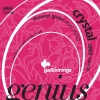 Galli GR65 Genius Crystal Klassieke Snaren - Normale Spanning